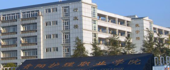 護理