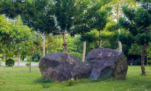校園一景