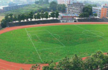 醫學檢驗專業