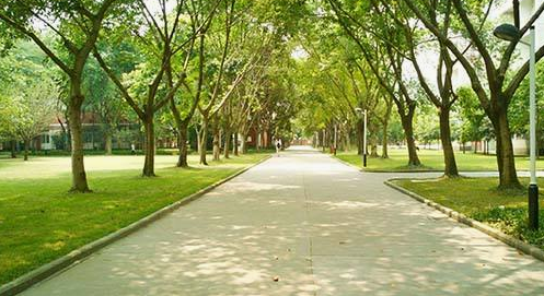 臨床醫學專業