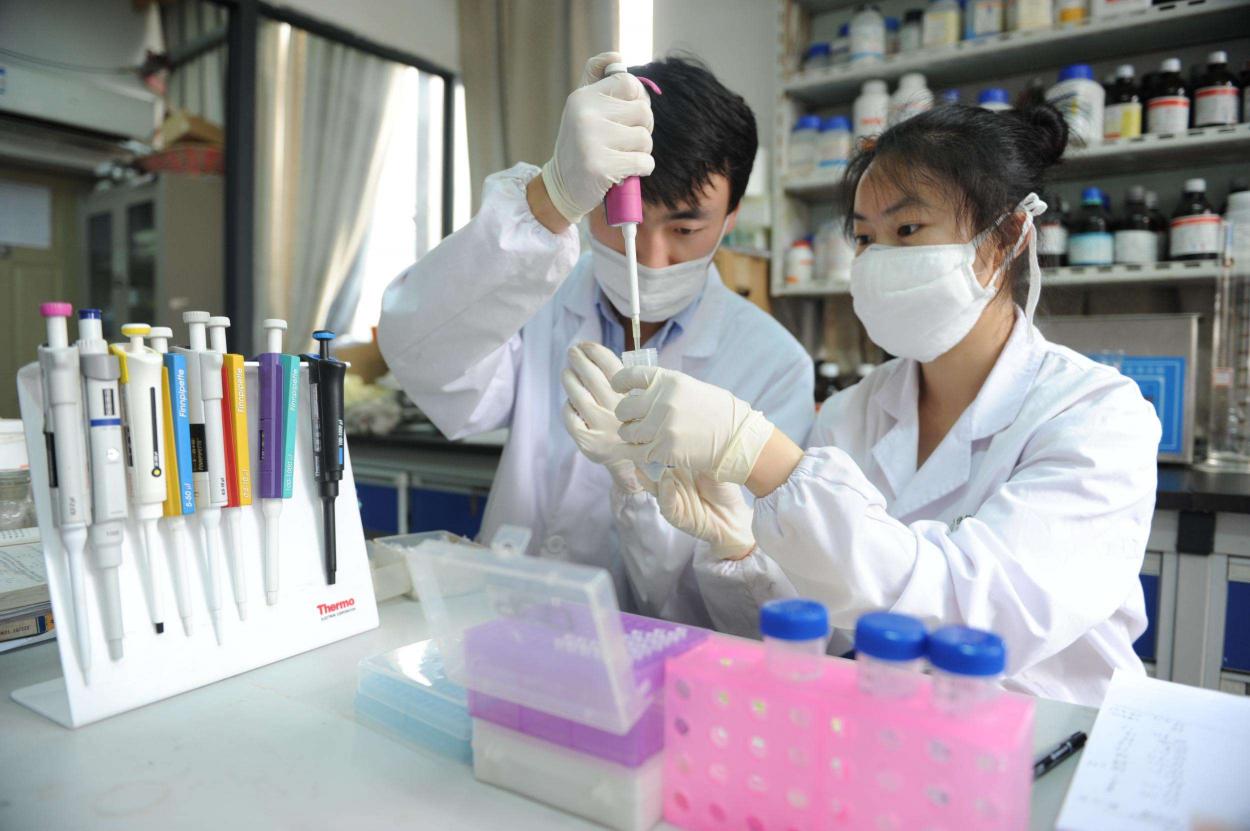 藥學專業