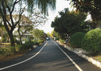 山東煤炭衛(wèi)生學(xué)校圖四