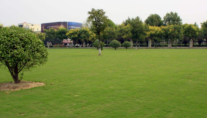 山東省衛生學校風景