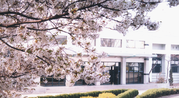 山東省青島衛生學校風景圖一