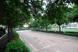 公共衛校