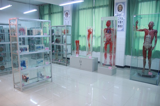 在重慶讀什么職業衛校好