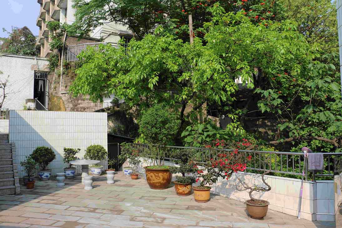 重慶醫藥貿易學校