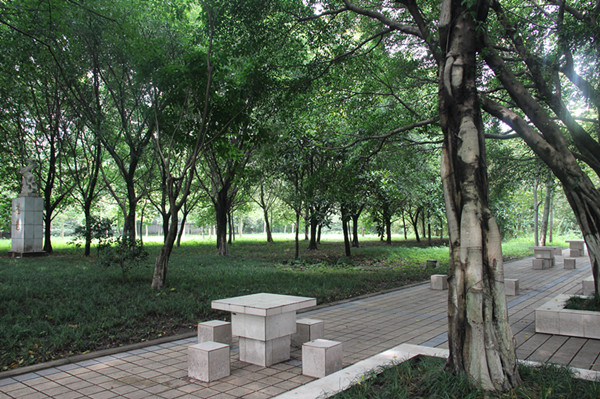 知行衛(wèi)校