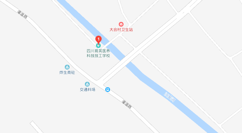 四川育英醫(yī)養(yǎng)科技技工學(xué)校