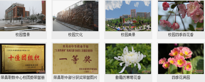 重慶市榮昌區(qū)職業(yè)教育中心學校環(huán)境圖片