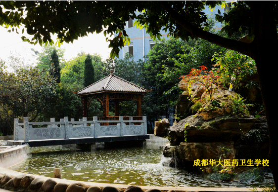 微信截圖_20190330140028.png