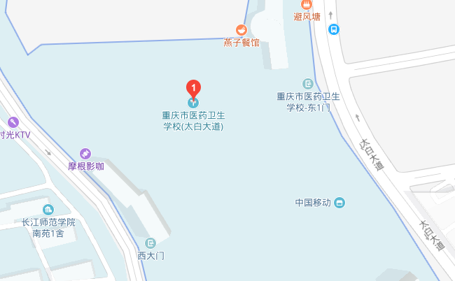 重慶市醫(yī)藥衛(wèi)生學校