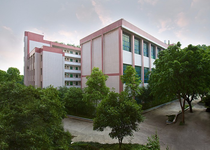 <a href='http://m.pizza-zz.com/school/32' style='color:#a033d9'>重慶南丁衛生職業學校</a>