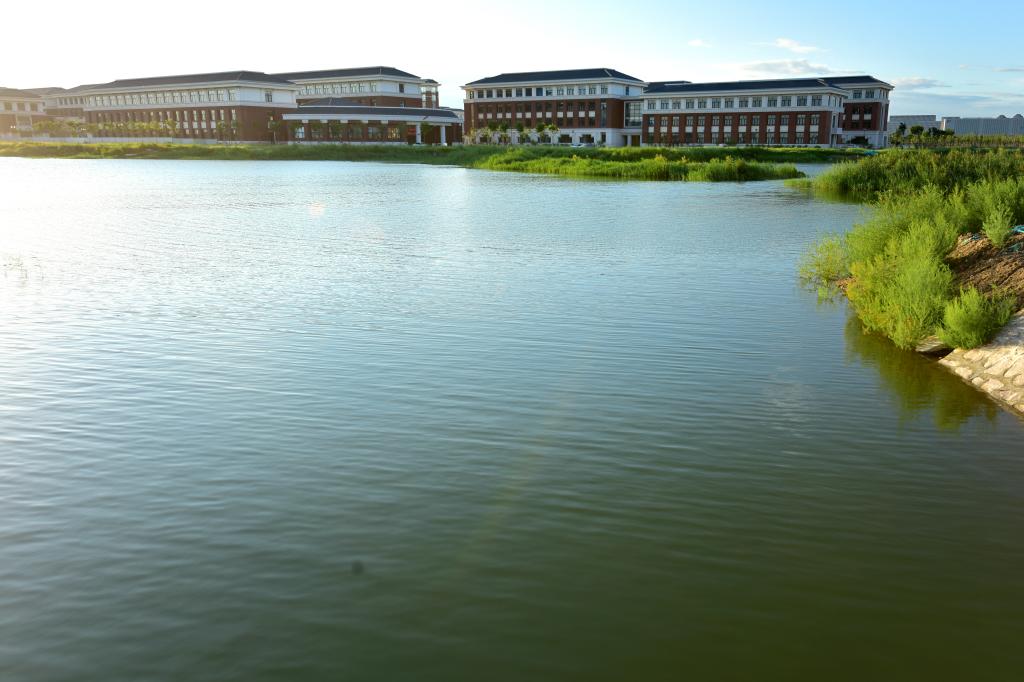 天津中醫藥大學