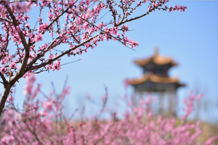 天津中醫藥大學