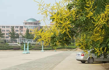 北京大學醫學部