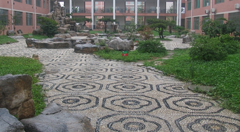 廉江市衛生職業技術學校