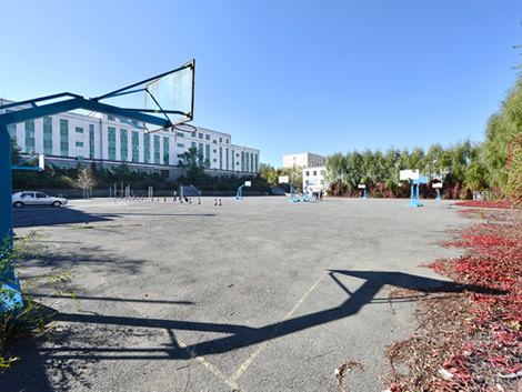 長春市博泰醫藥中等職業學校2019招生簡章