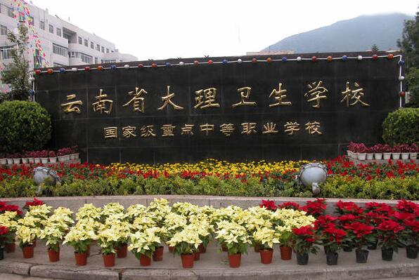 大理衛(wèi)生學(xué)校2020年簡介、介紹