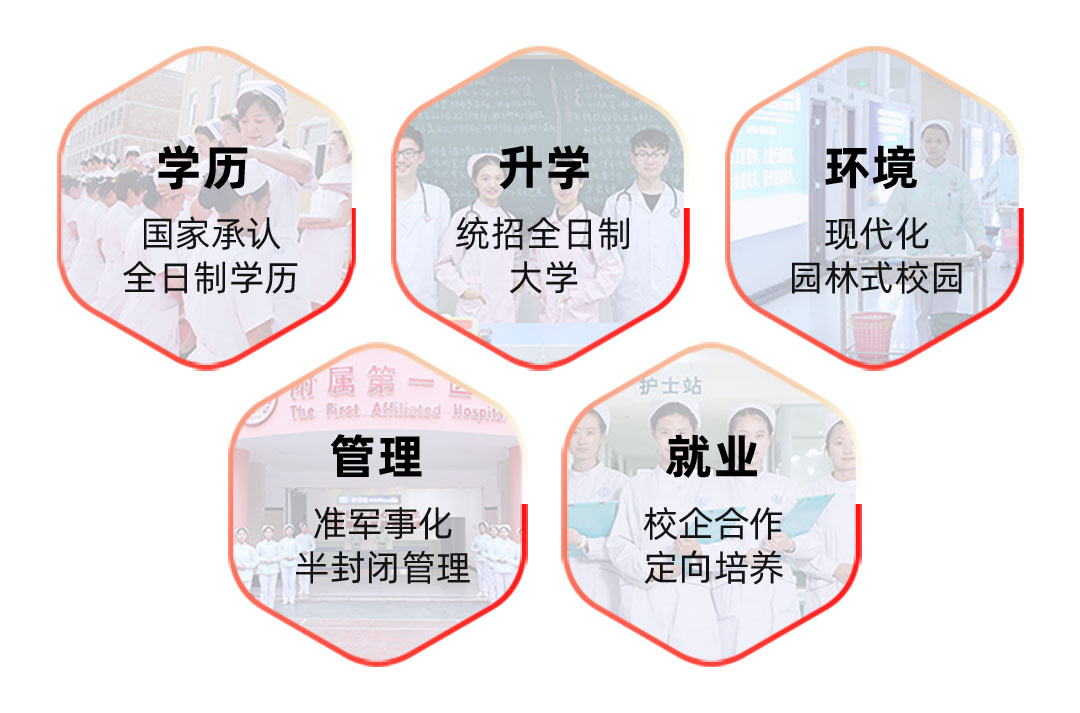 國家承認學校，校企合作、定向培養